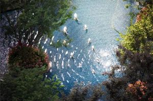 房地產(chǎn)類(lèi)